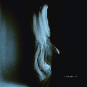 性感美女裸体APP
